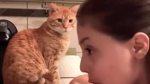 猫:现在的女人这么难懂了吗